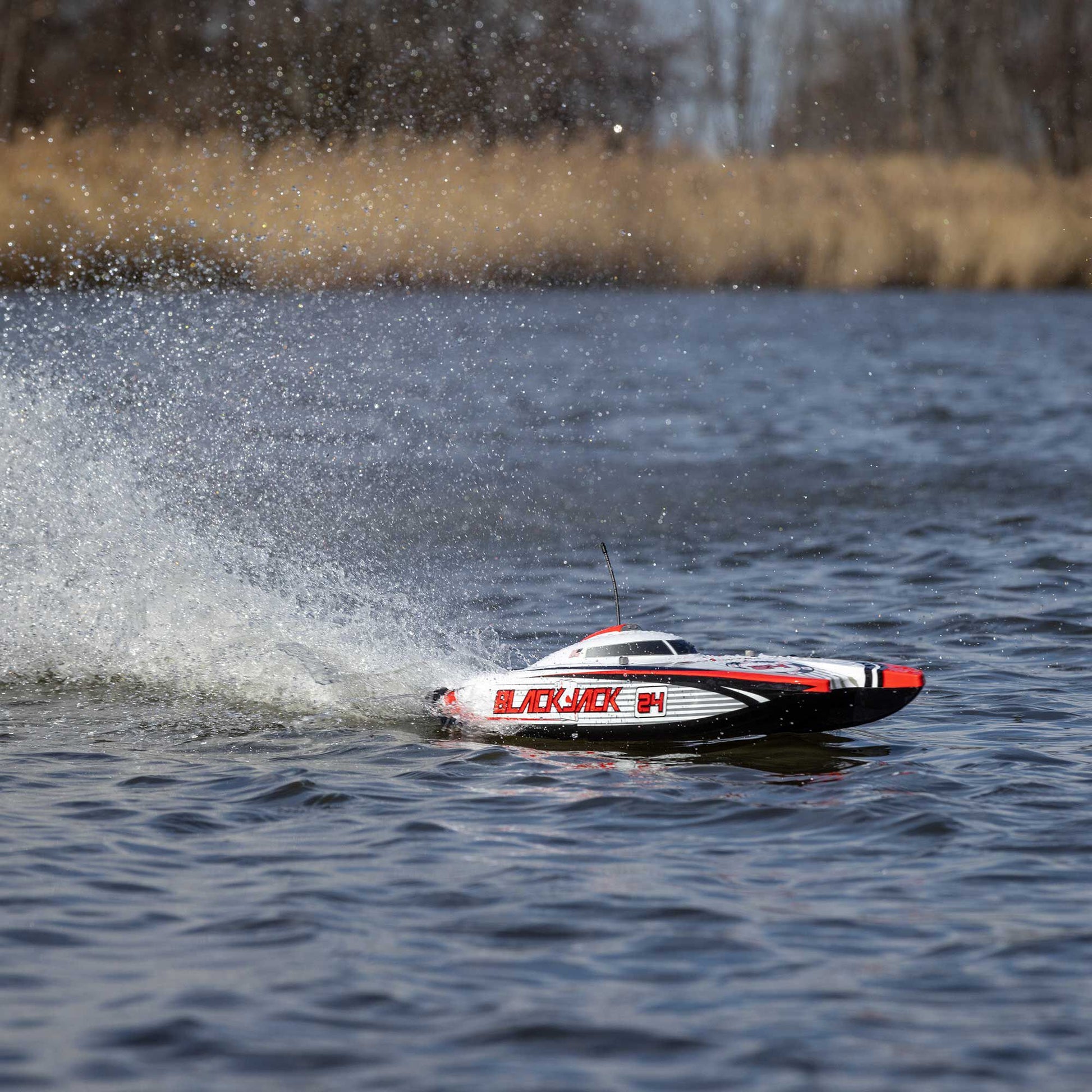 Blackjack 24" V2 Catamaran Brushless: RTR, Vegas Offshore