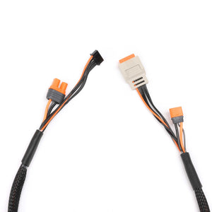 Charge Lead with Balance Extension 24" IC2, 2-4S