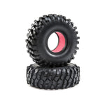 FR/RR Tire with Foam: Temper G2