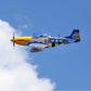 E-flite P-51D Mustang 1.5m Smart PNP EFL01275